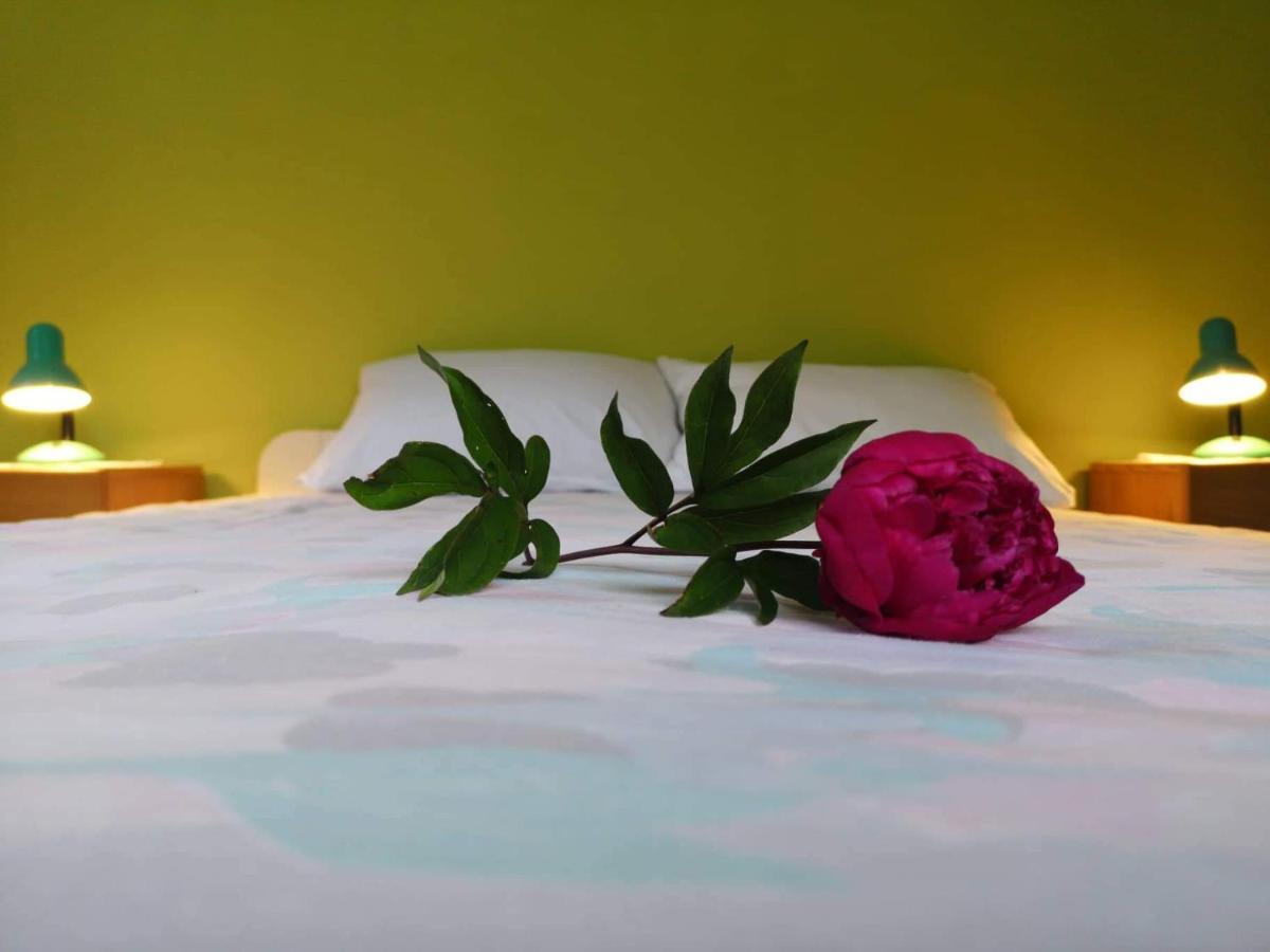 شقة Apartma Floncna بوويتش المظهر الخارجي الصورة