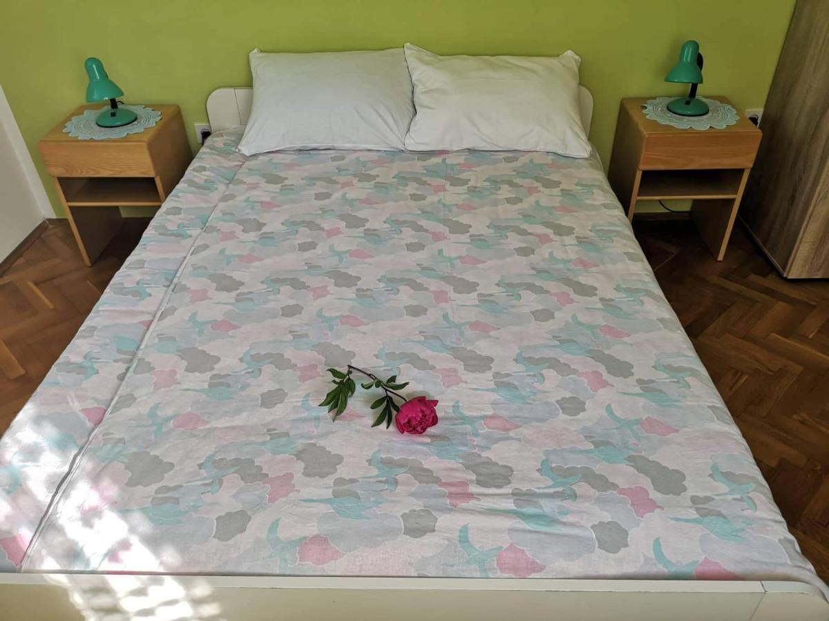 شقة Apartma Floncna بوويتش المظهر الخارجي الصورة